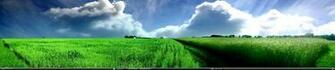 X Desktop Screenshot Wallpaper Details Resolution