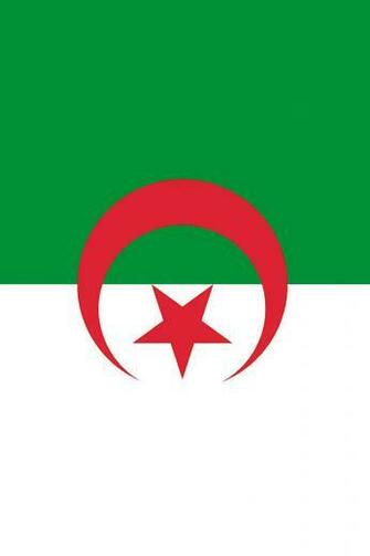 Algeria Flag iPhone Wallpaper HD