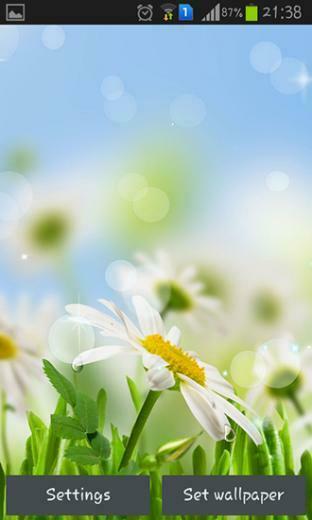 Spring Flower Live Wallpaper For Android