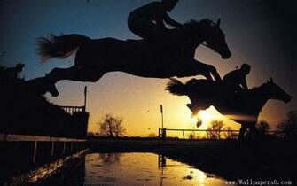 Racing Horse Wallpaper Desktop Background In HD