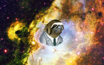 Slothstronaut