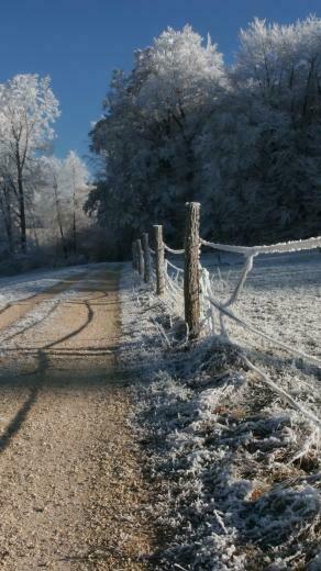 Galaxy S6 HD Winter Road Samsung Wallpaper