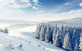Winter Hills And Forest X Close