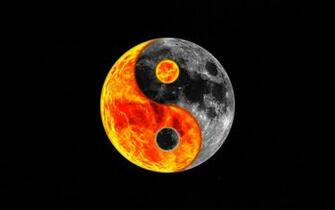 Pics Photos Yin Yang Wallpaper