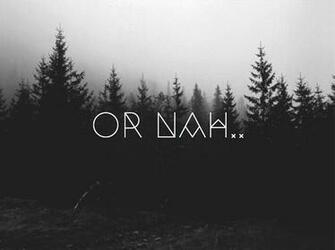 Image Include Background Black White Forest Hipster And