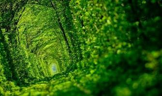 Panoramio Photo Of Tunnel Love Ukraine