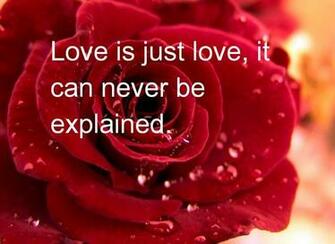Cute Valentines Day Quotes Wallpaper Desktop HD