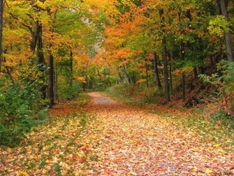 Wallpaper Zh Fall Nature Pictures