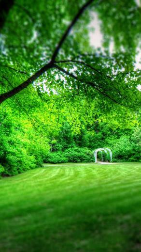 Park Scenery Wallpaper For Nokia Lumia