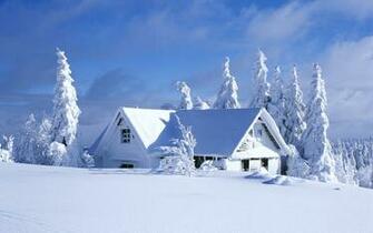 Covered In Snow Wallpaper High Quality Desktop