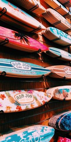 Girls Relate Summer Wallpaper Pictures Surfing