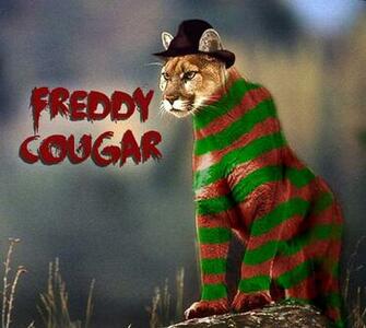 Freddy Cougar By Brandtk