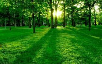 Wallpaper Nature HD Pictures Of Nnature