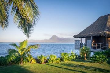 Tropical House Pictures Image