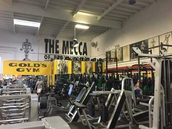 Gold S Gym Venice Wallpaper At Wallpaperbro