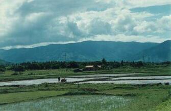 Scenery Pictures Area