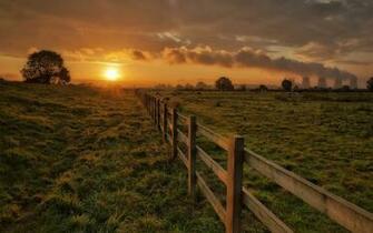 Corral Fence Fencing Cows Grass Trees Sun Evening Sunset