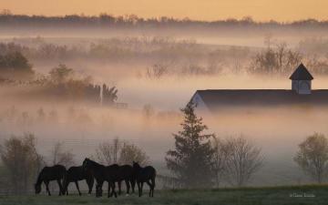 Morning Fog Wallpaper Stock Photos
