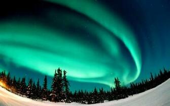 Cran Northern Lights Forces Of Nature