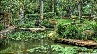 Garden HDr Wallpaper