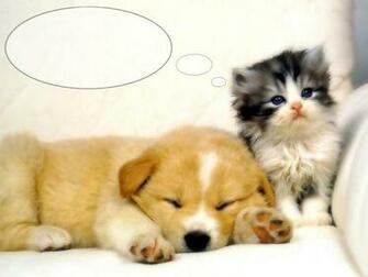 Cute Puppy Puppies Wallpaper