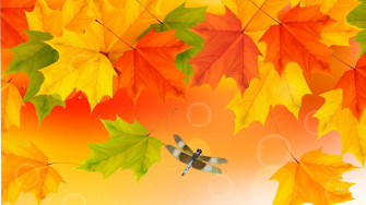 Best Cute Fall Wallpaper HD