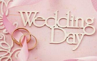 Wedding Day Pink Background Flowers Ring Lace Soft