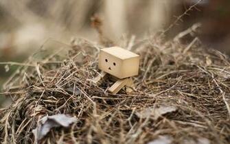 Danbo Jpg