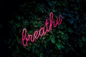 Best Neon Sign Pictures Image On