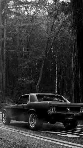 Black Muscle Car iPhone Wallpaper Carros E