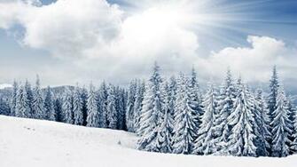 Snowy Winter Wallpaper High Quality