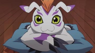 Gomamon Digimon Adventure Wallpaper Zerochan Anime