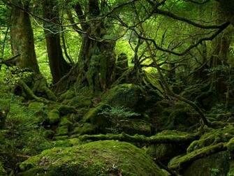 Pin Sweet Green Wallpaper Desktop HD
