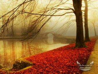 Autumn Season Wallpaper HD Beautiful
