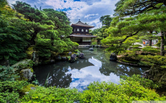 Fondo De Pantalla La Naturaleza Japonesa Natura Wallpaper