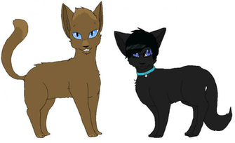 Good Mythical Morning By Ask The Nanners Cat