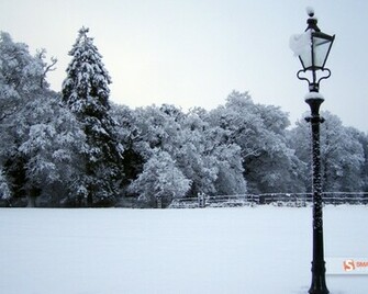 Winter Wonderland Desktop Wallpaper Grasscloth