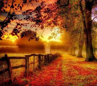 Autumn Fall Scene Fantastic Nature