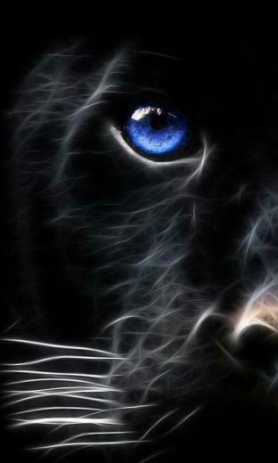 Black Tiger Mobile Phone Wallpaper