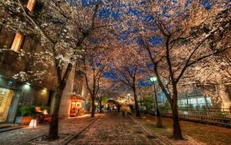 Kyoto Wallpaper