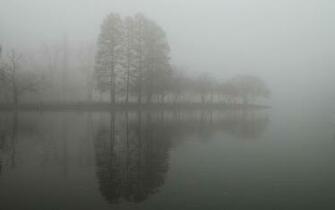 Natural Background And This Is For Your Fog Or Nature Templates