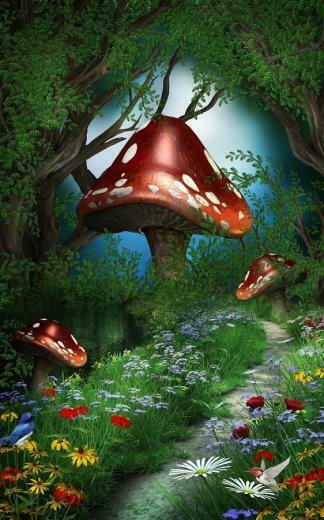 Tale Live Wallpaper Is The Most Beautiful For Your