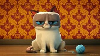 Cat Meme Quote Funny Humor Grumpy Wallpaper