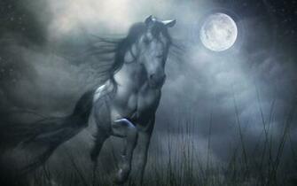 Horse Wallpaper