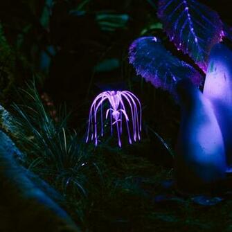 Wallpaper Plant Glow Dark iPad Air