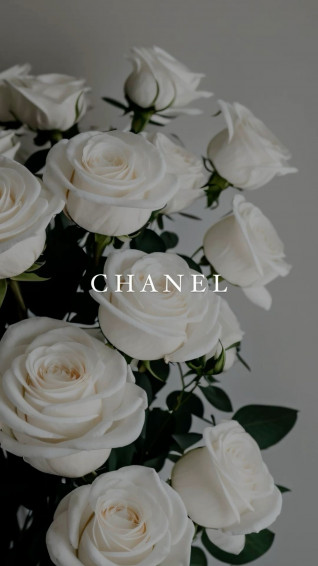 Chanel Luxury Rose Wallpaper