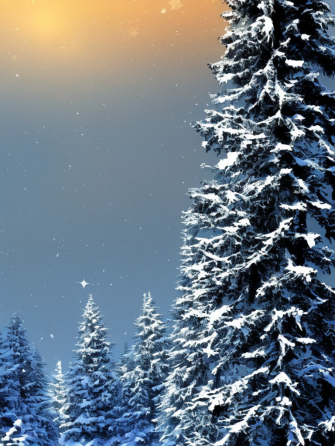 Snow iPhone Wallpaper
