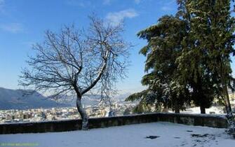 Winter Landscape Wallpaper