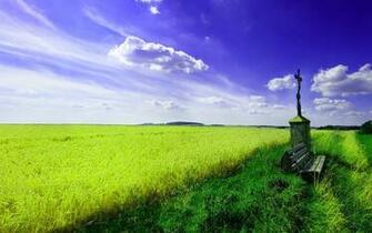 Spring Scenery Wallpaper