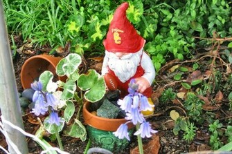 Garden Gnome Wallpaper